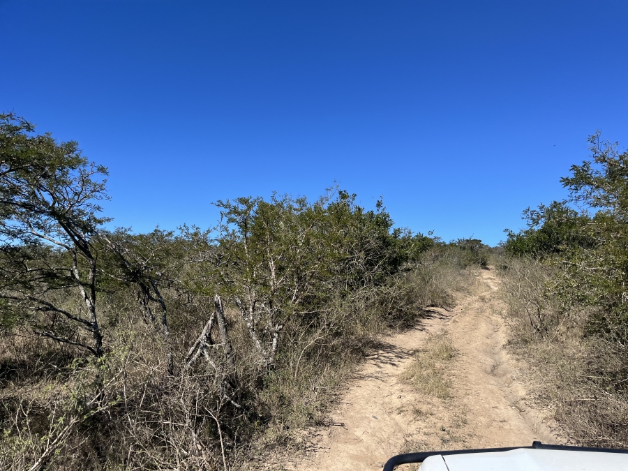0 Bedroom Property for Sale in Stutterheim Rural Eastern Cape